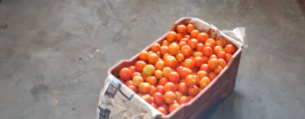Central Govt Monitors and Intervenes to Ensure Stable Prices of Tomato, Onion, and Potato